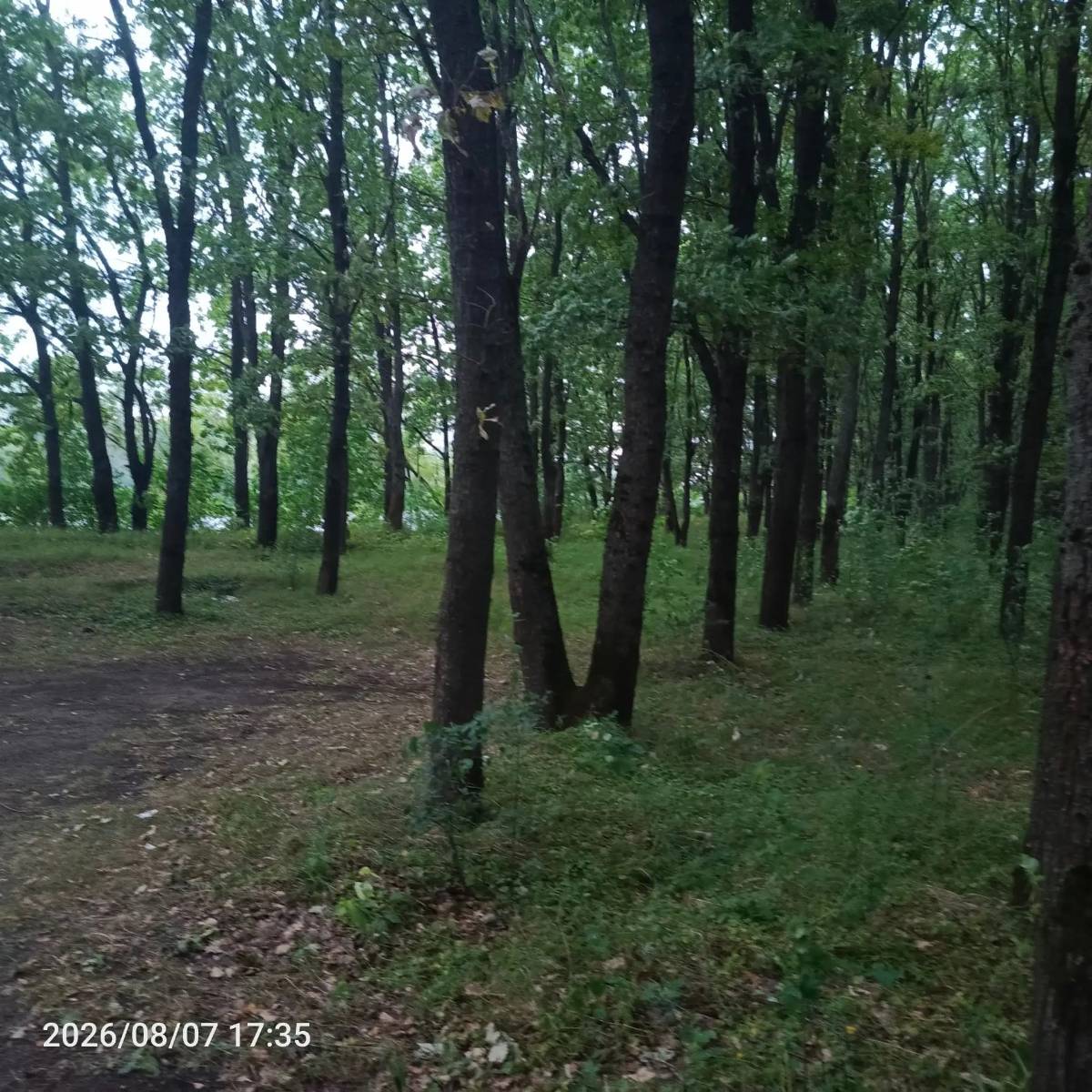 Десна