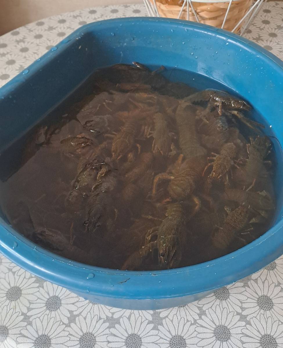 Белые Берега
